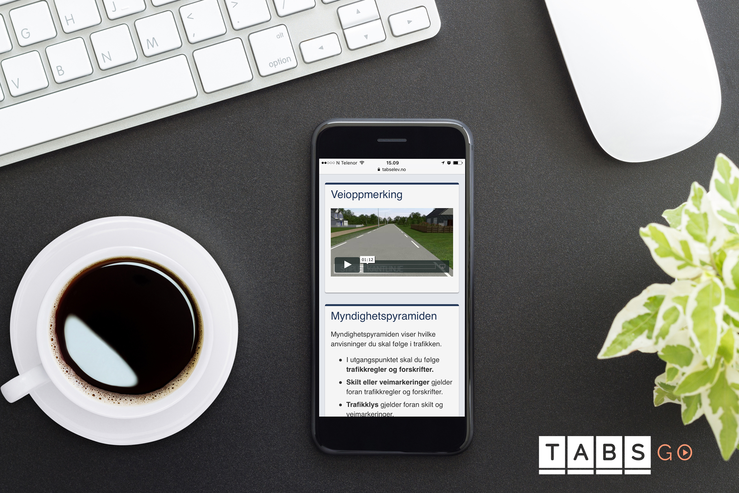 TABSGO-POSTER-03.jpg